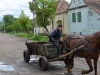 Pferdefuhrwerk statt Traktor