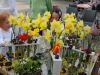 blumen